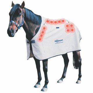 Dick Wicks Magnetic Heavy Duty Ripstop Horse Rug Natural Therapy Pain Relief